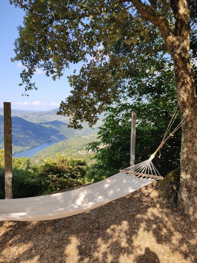 Paraiso Hills - Encostas Do Paraiso: Tranquilidade No Douro Resende Εξωτερικό φωτογραφία
