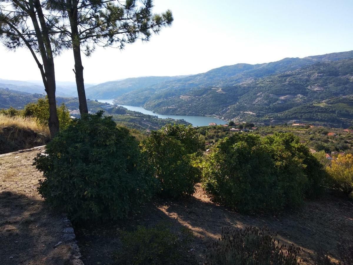 Paraiso Hills - Encostas Do Paraiso: Tranquilidade No Douro Resende Εξωτερικό φωτογραφία